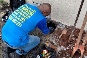 WhatsApp Image 2025-12-06 at 11.00.06